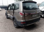 DFM JOYEAR 2019