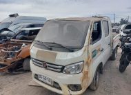 FOTON TM3 2023