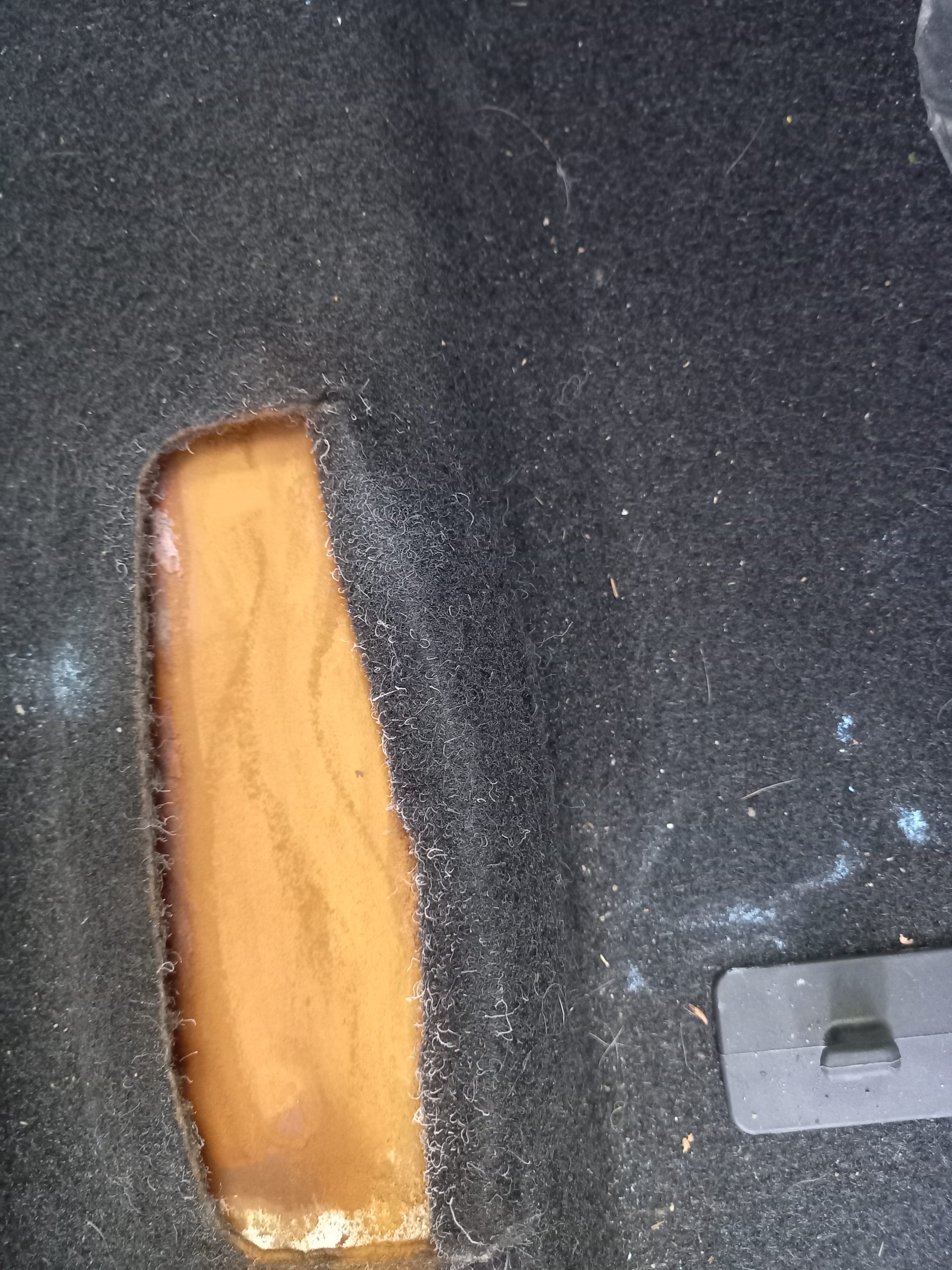 KIA MOTORS SORENTO 2023