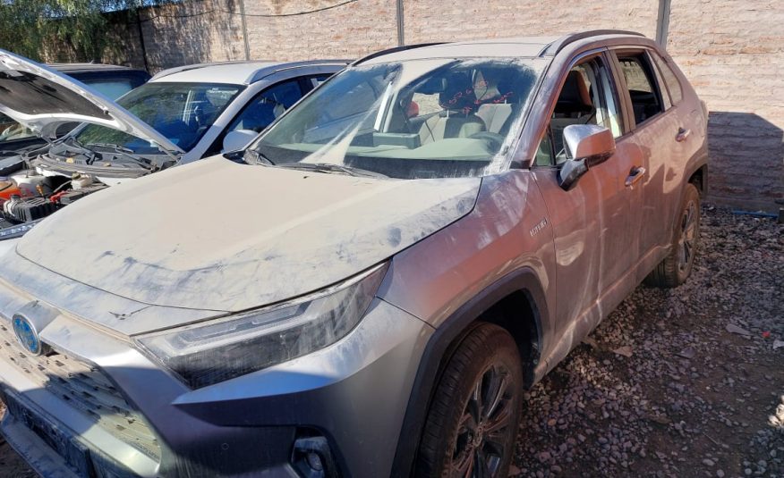 TOYOTA RAV 4 2024