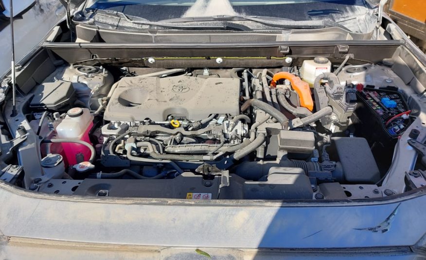 TOYOTA RAV 4 2024