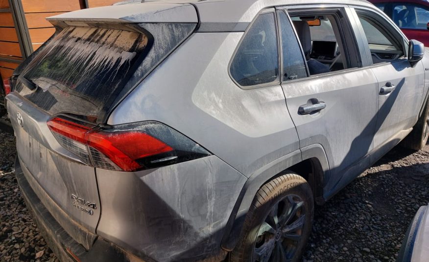 TOYOTA RAV 4 2024