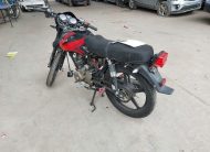 EUROMOT REX 2024