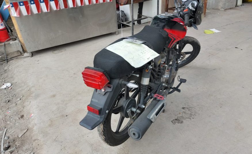 EUROMOT REX 2024