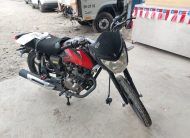EUROMOT REX 2024