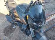 BAJAJ DOMINAR 2021