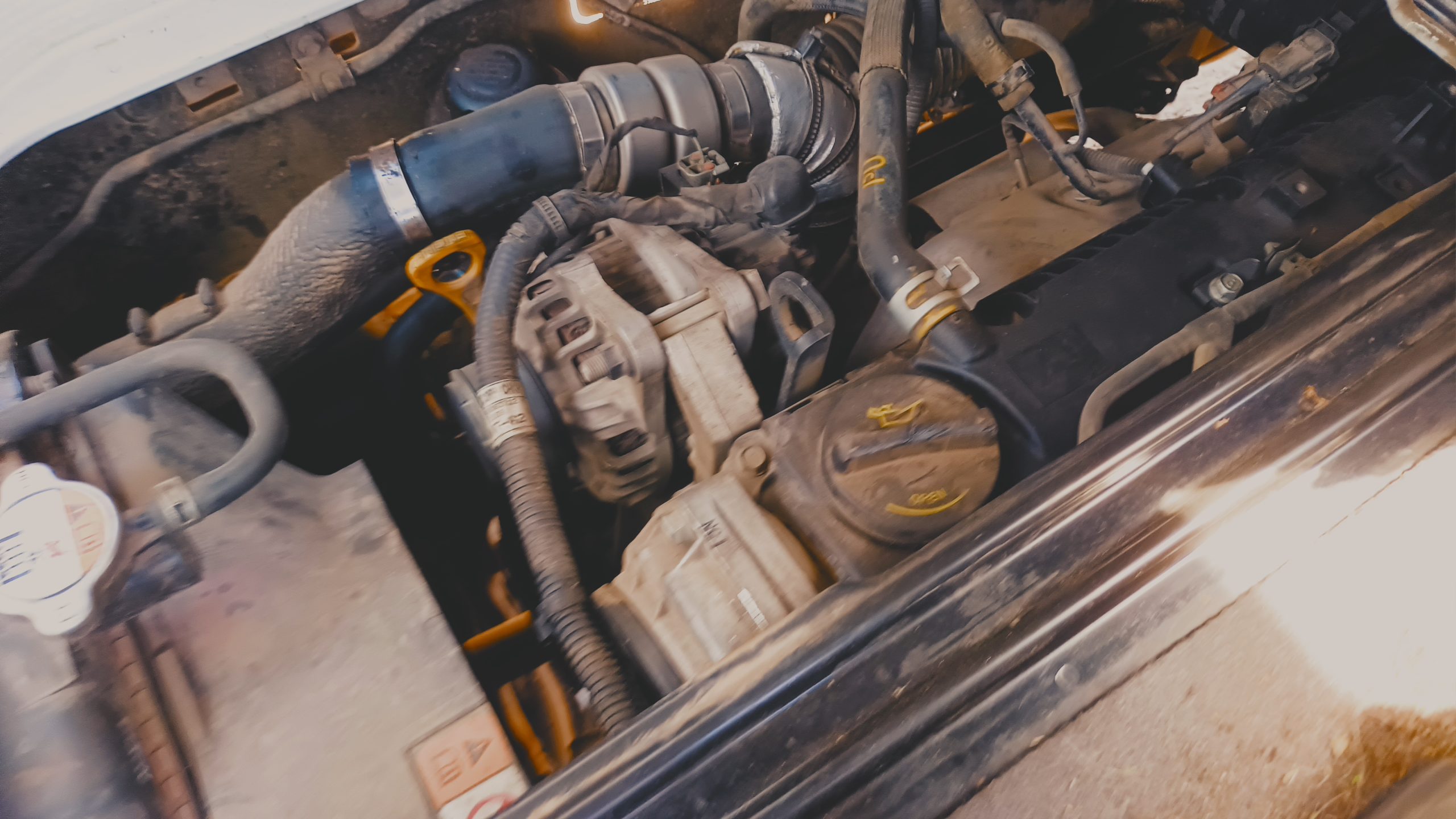 KIA MOTORS FRONTIER 2019