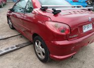 PEUGEOT 206 –