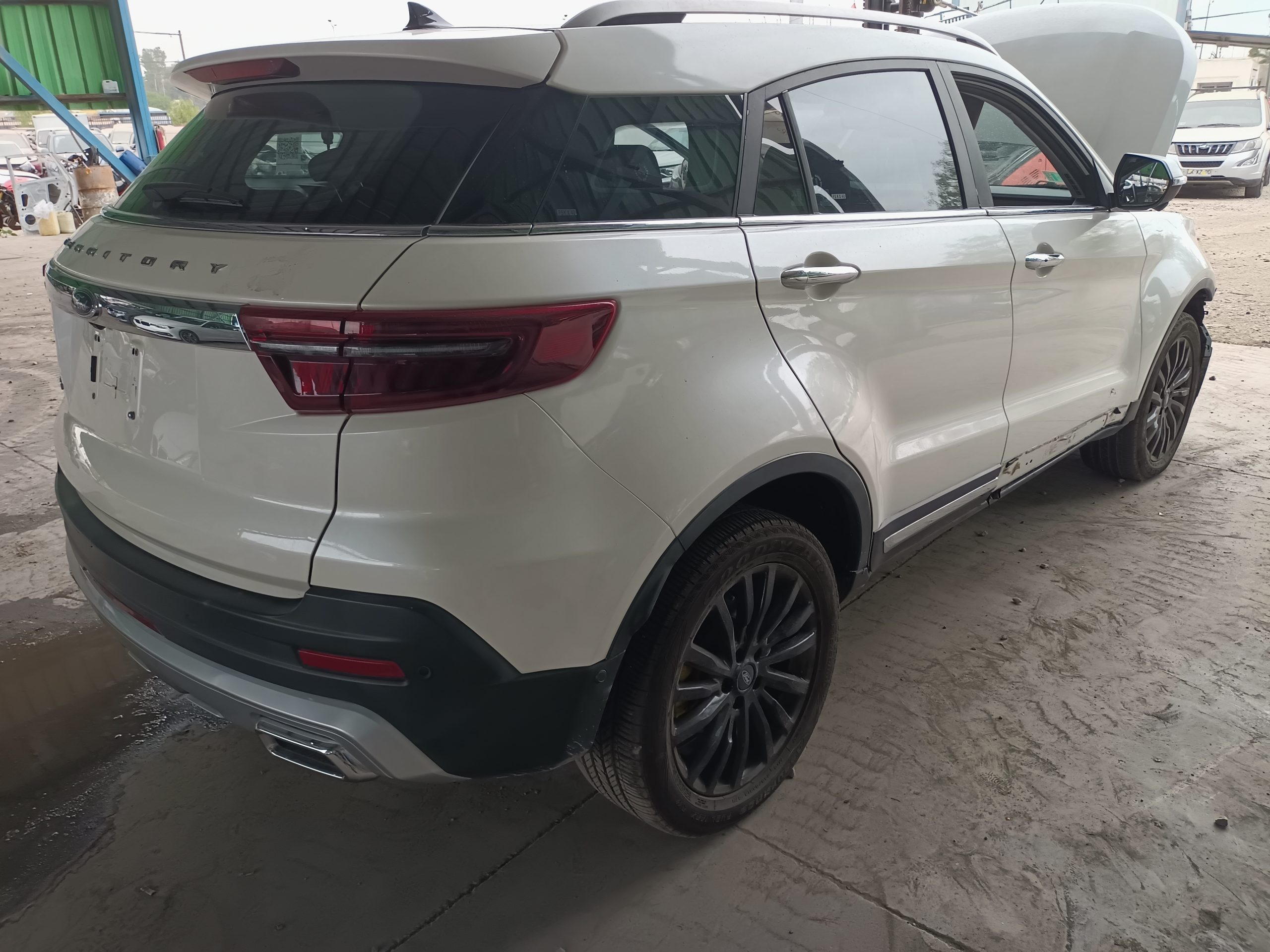 FORD TERRITORY TREND 2021