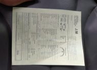 FORD TERRITORY TREND 2021