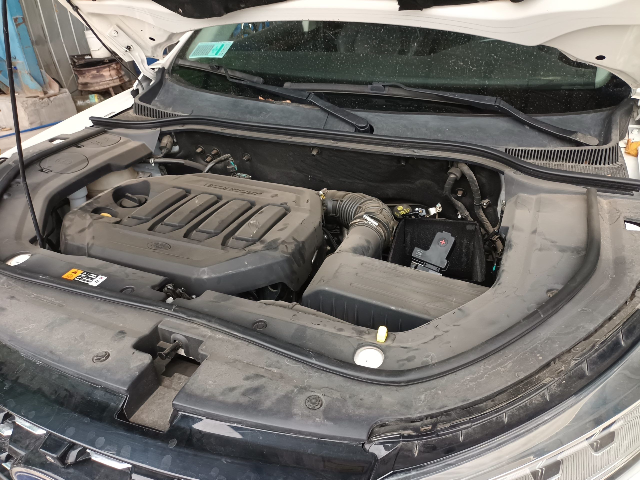 FORD TERRITORY TREND 2021