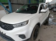 FORD TERRITORY TREND 2021