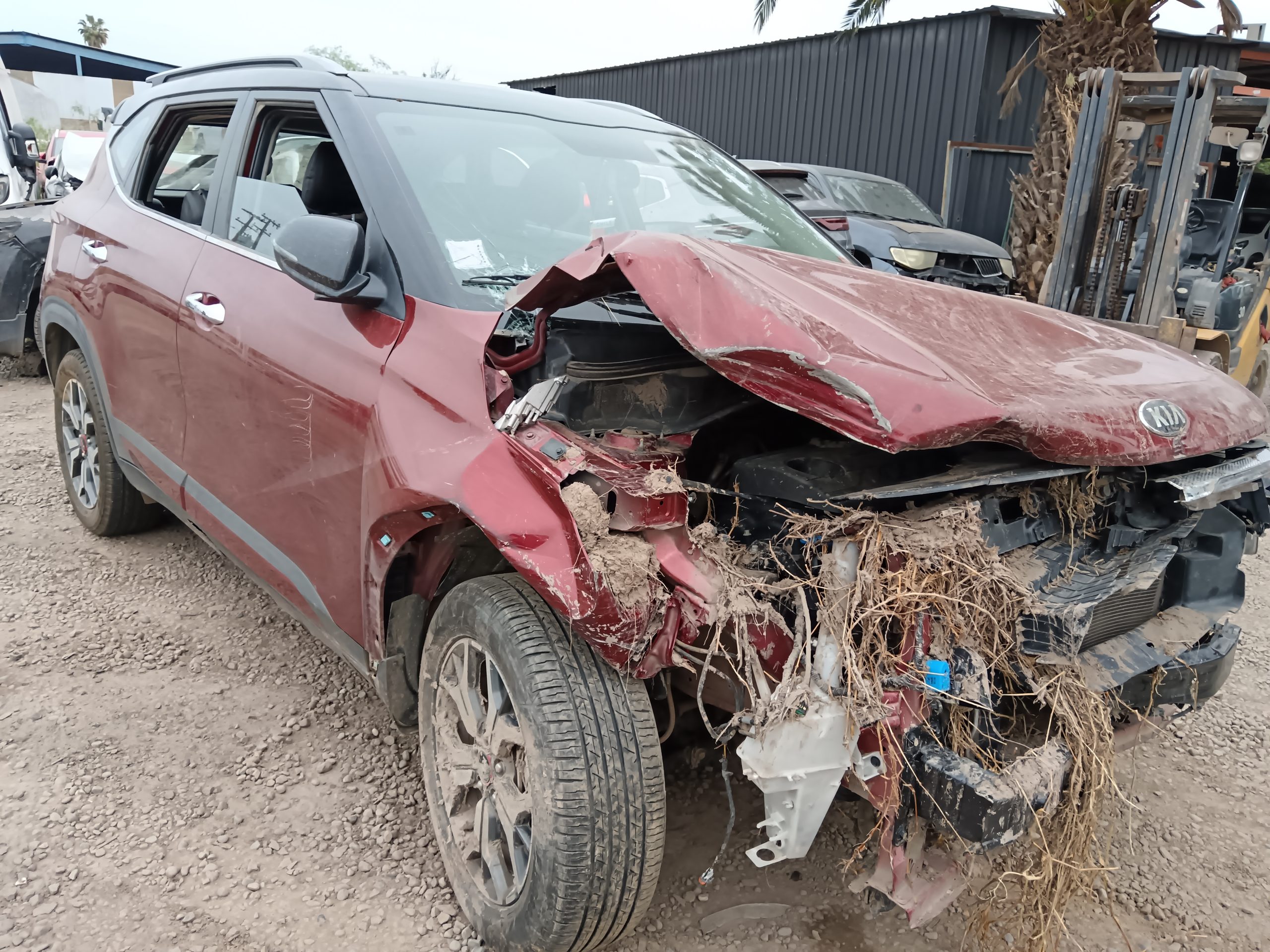 KIA MOTORS SELTOS 2022