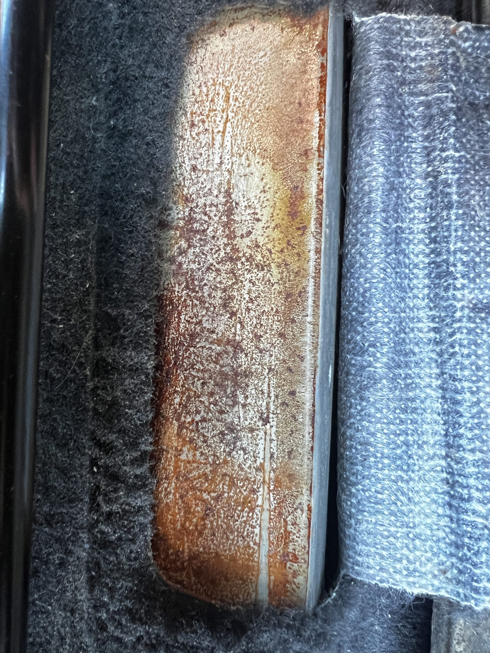 KIA MOTORS RIO 4 2019