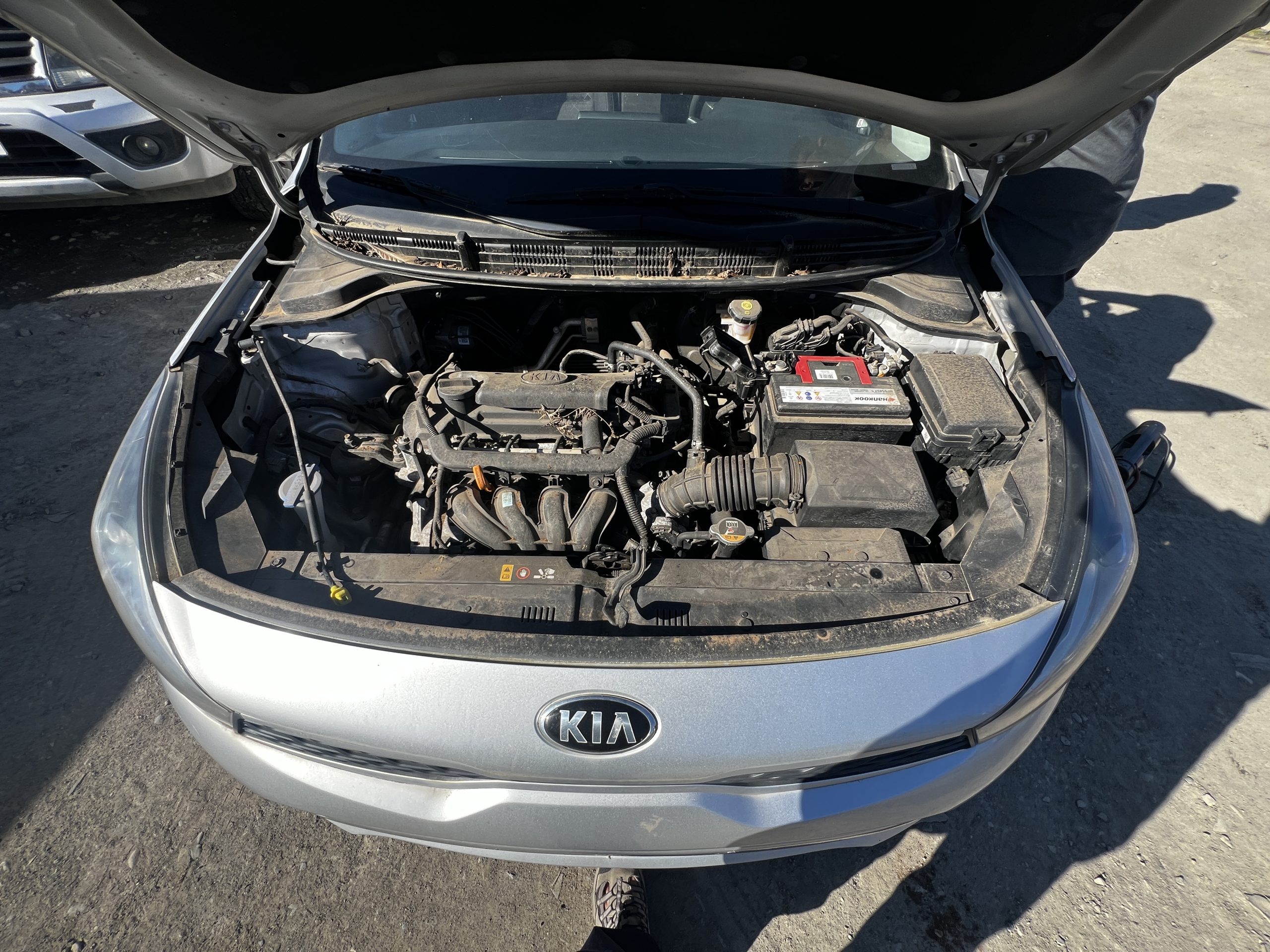 KIA MOTORS RIO 4 2019