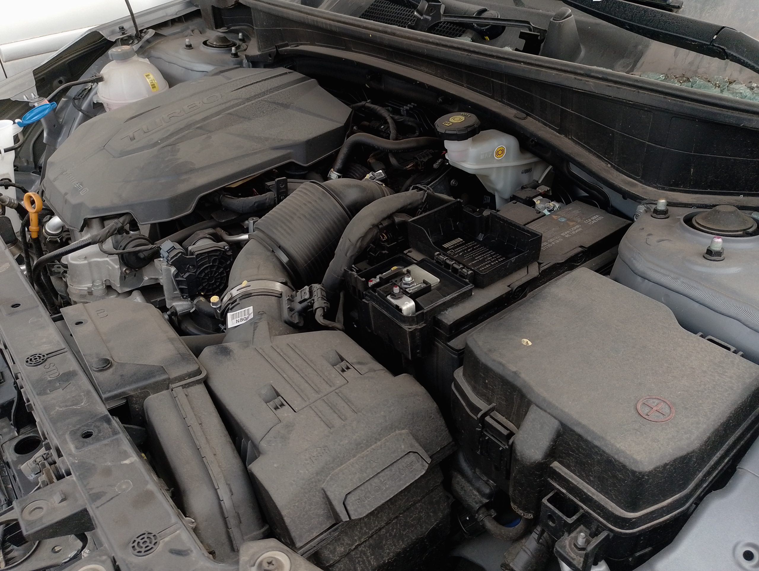 KIA MOTORS SPORTAGE 2025