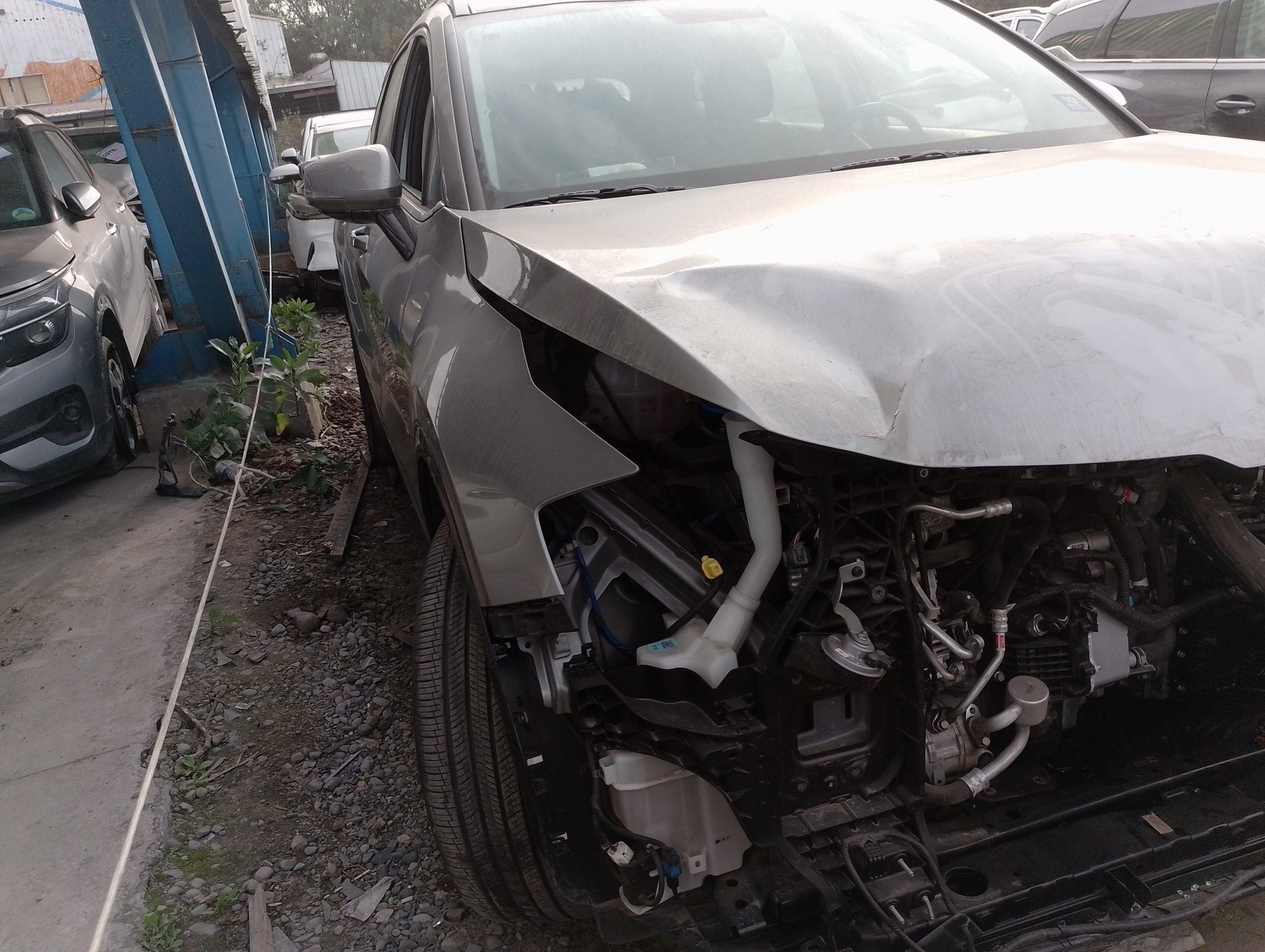 KIA MOTORS SPORTAGE 2025