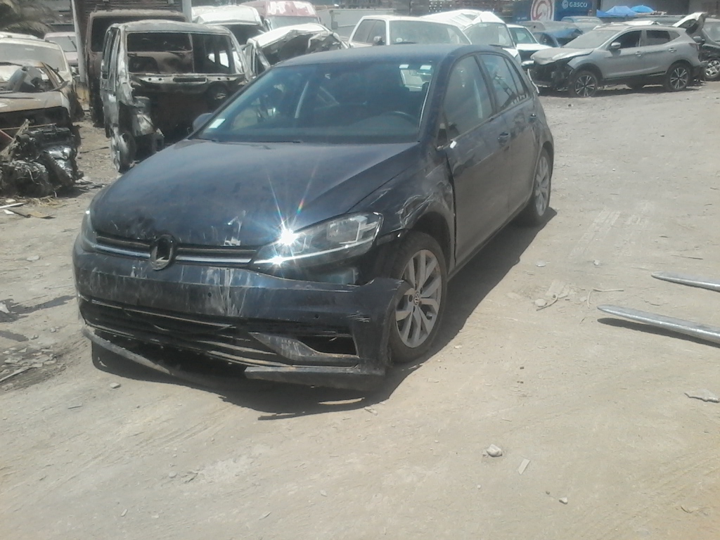 VOLKSWAGEN GOLF 2019