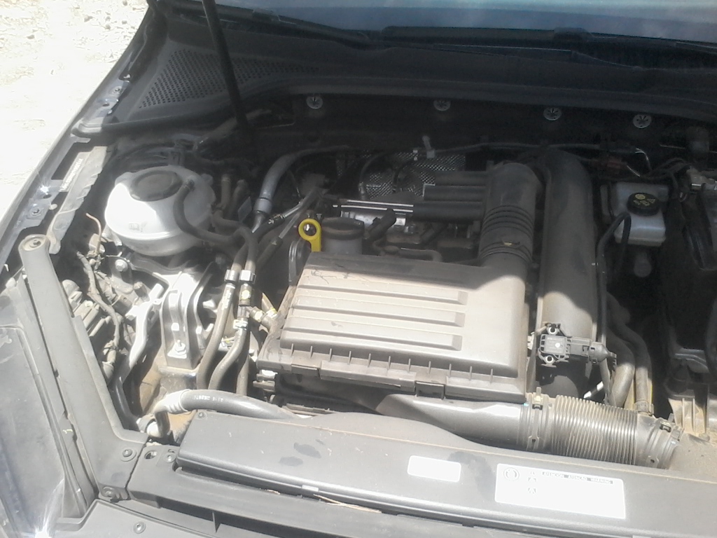 VOLKSWAGEN GOLF 2019