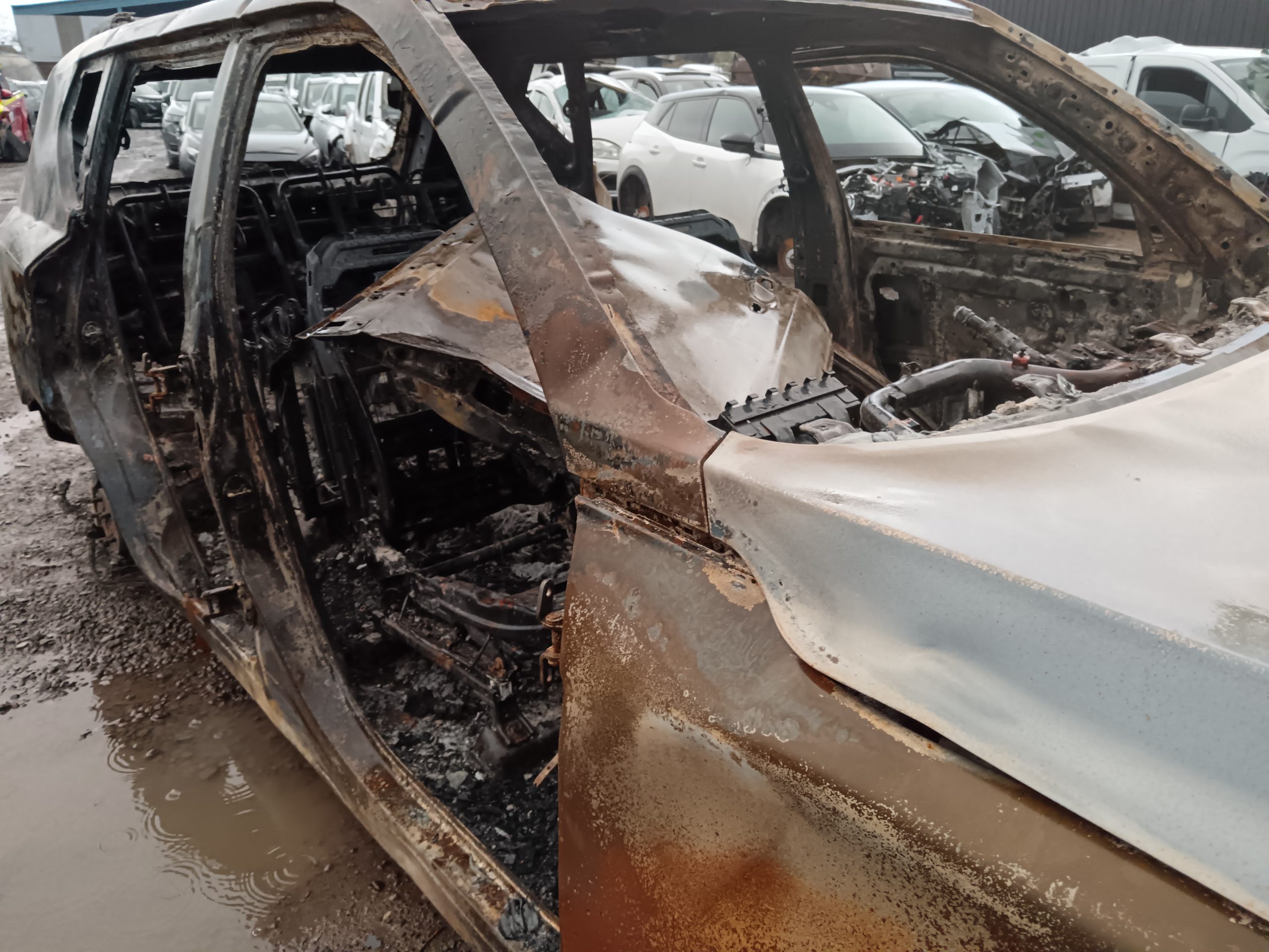 SSANGYONG REXTON 2022