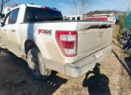 FORD F 150 2024