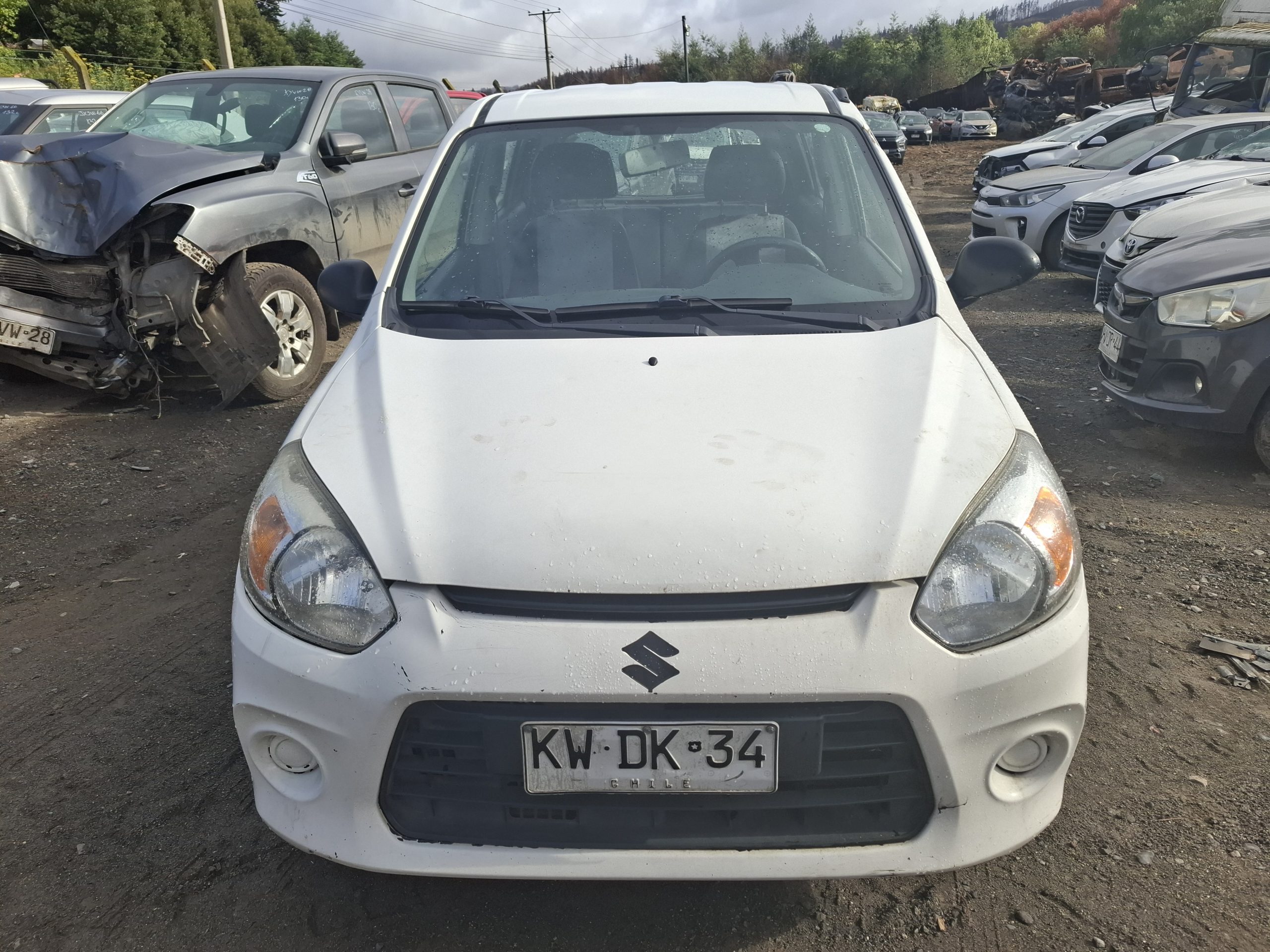 SUZUKI ALTO 2019