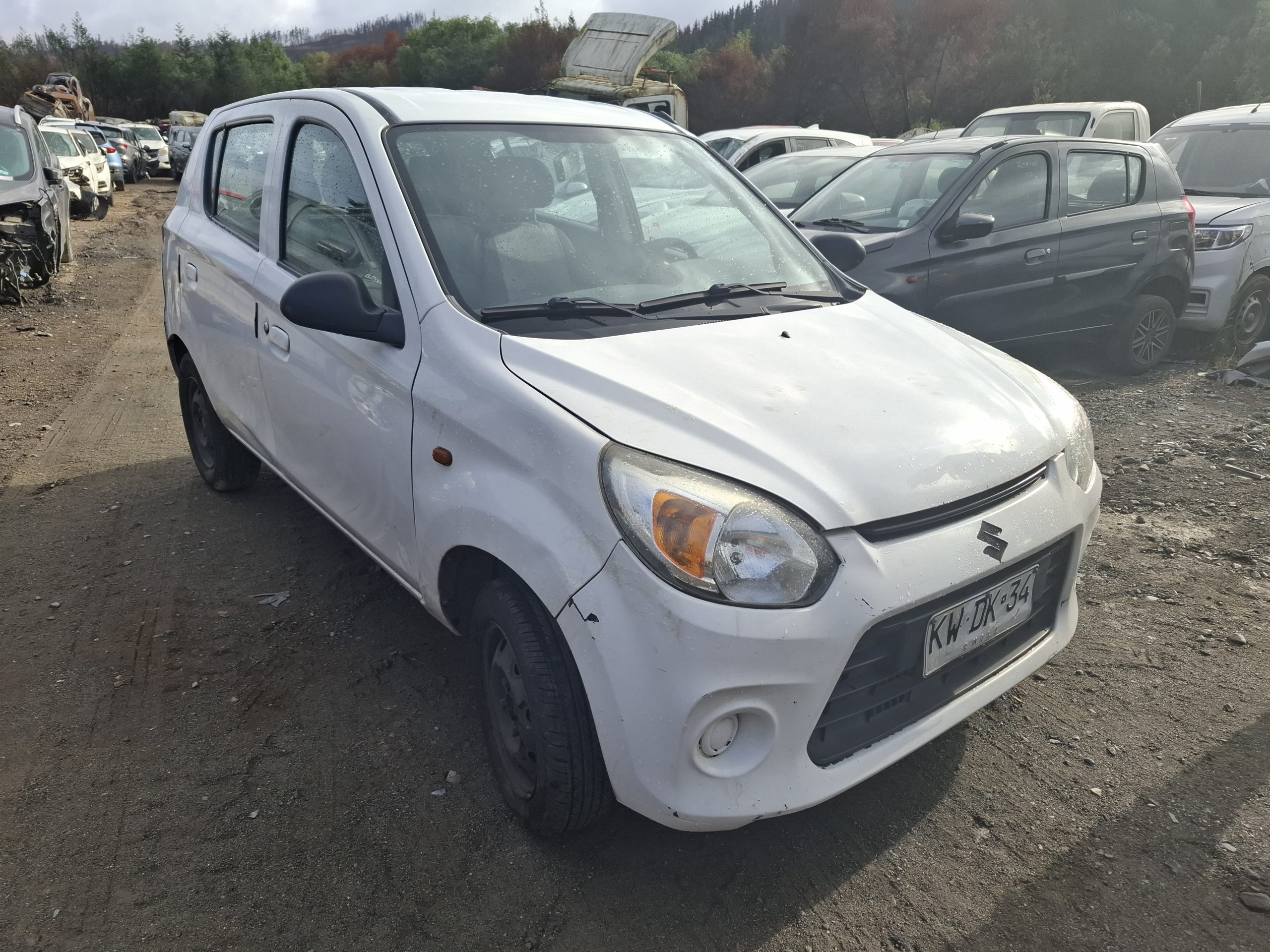 SUZUKI ALTO 2019
