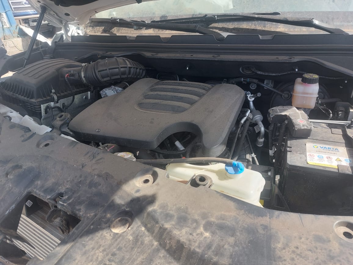 GREAT WALL POER 2026