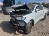 GREAT WALL POER 2026