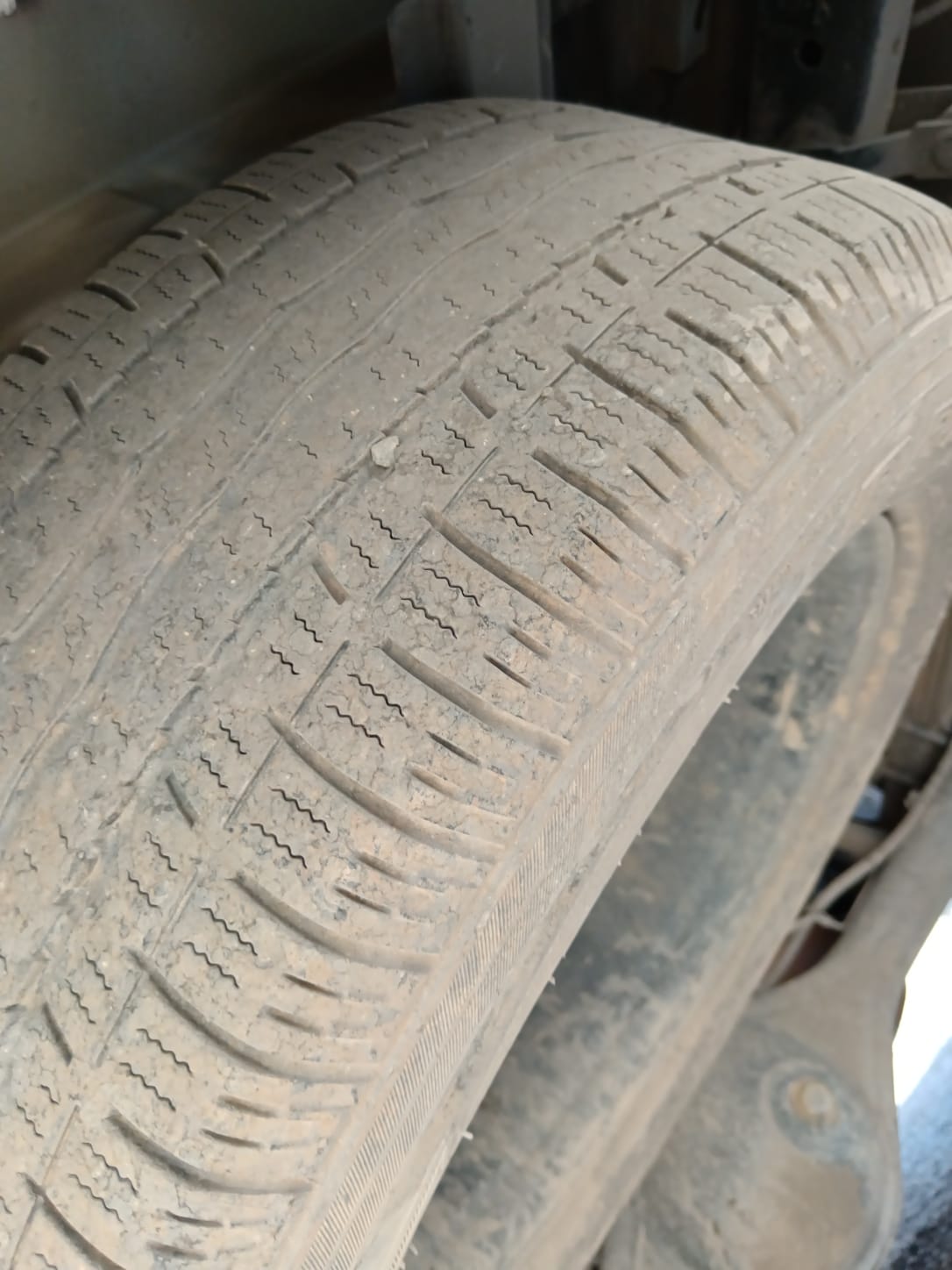 GREAT WALL POER 2022