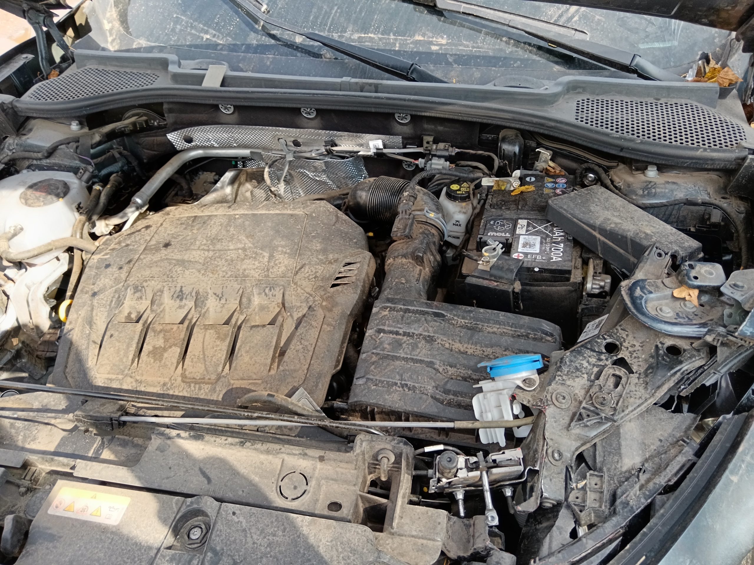 CUPRA FORMENTOR 2024