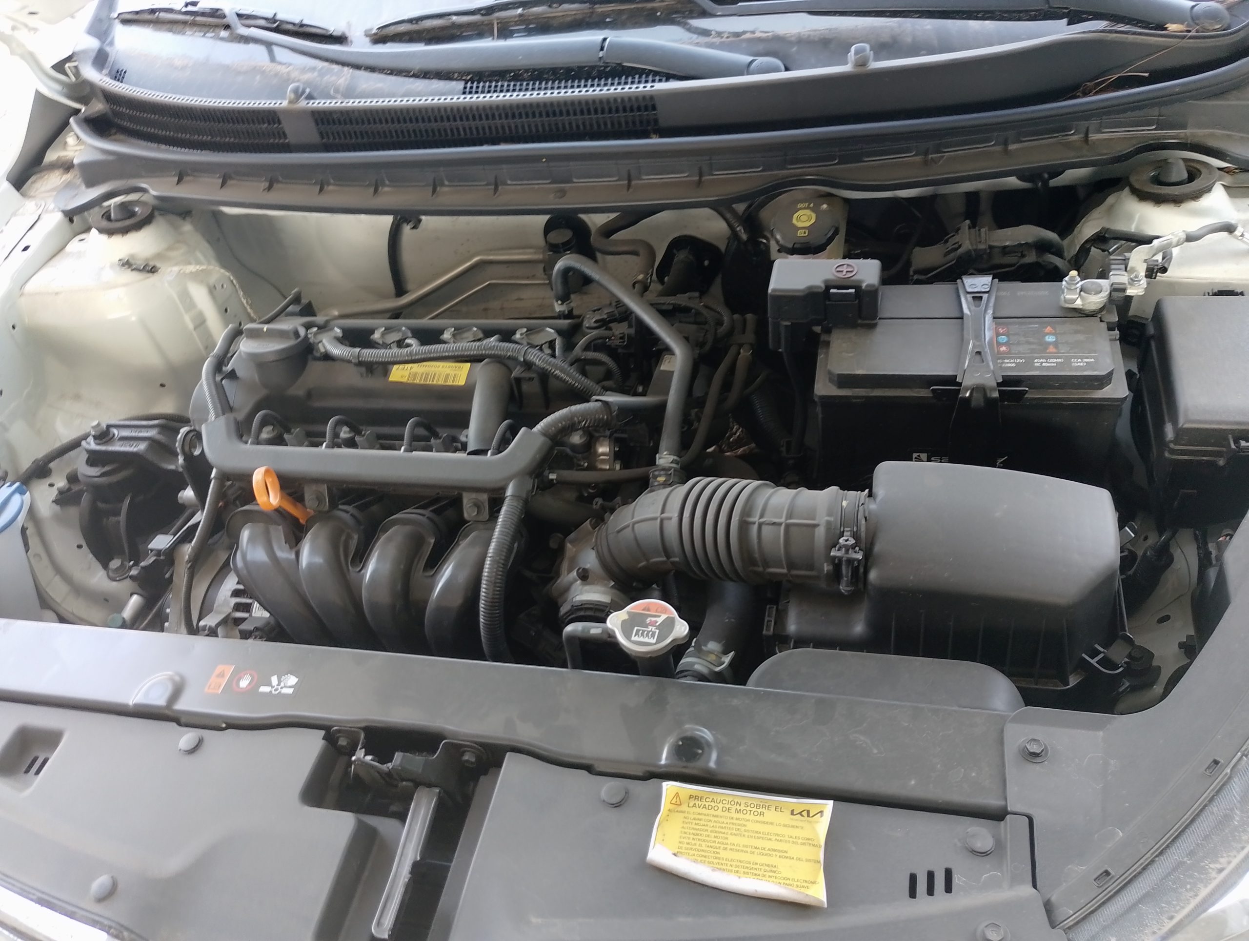 KIA MOTORS SOLUTO 2026