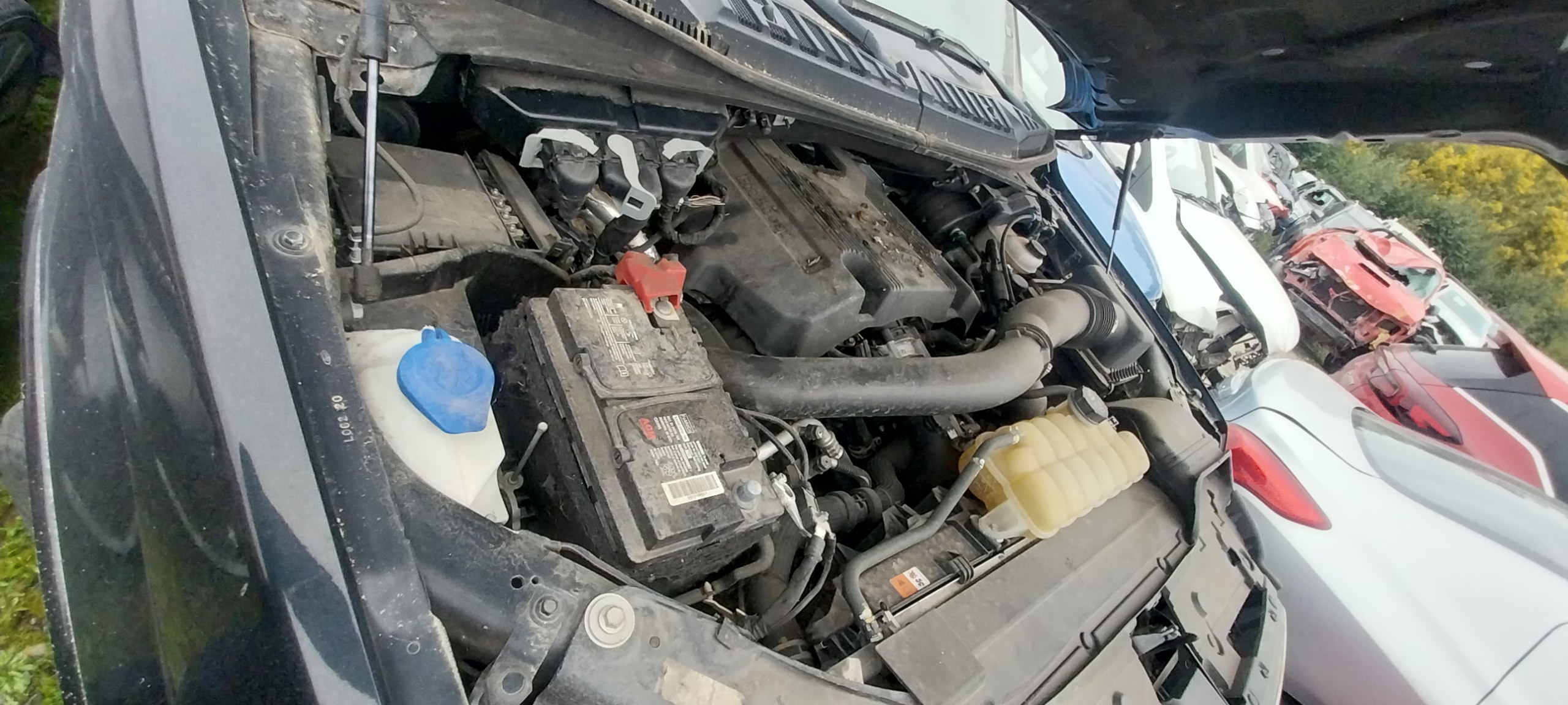 FORD F 150 2021