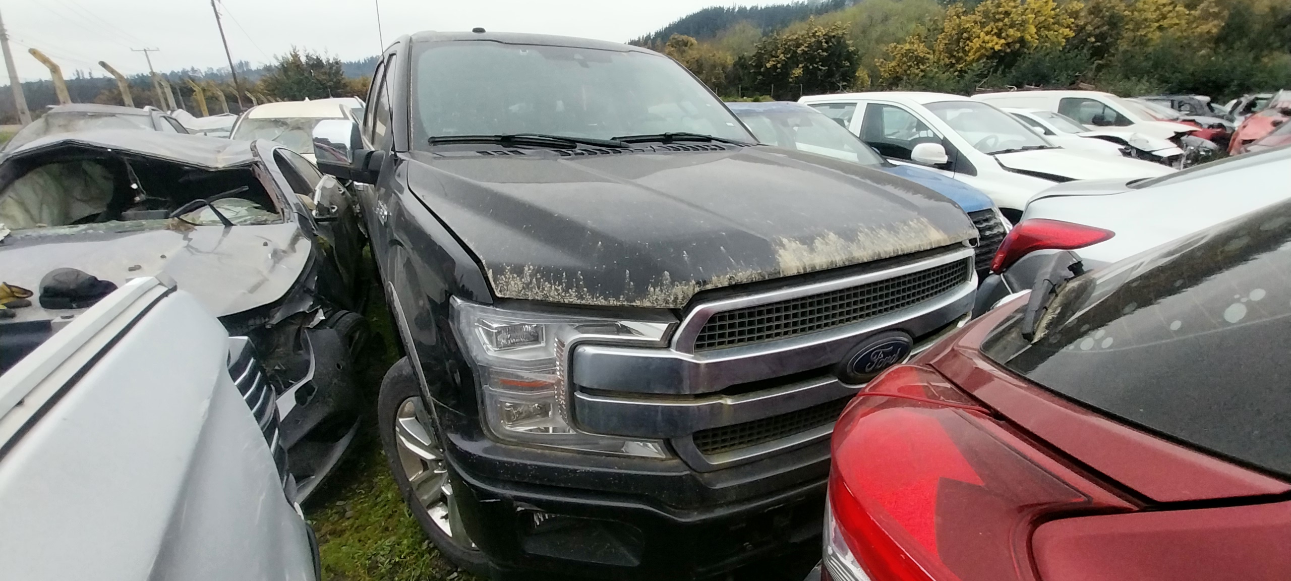 FORD F 150 2021