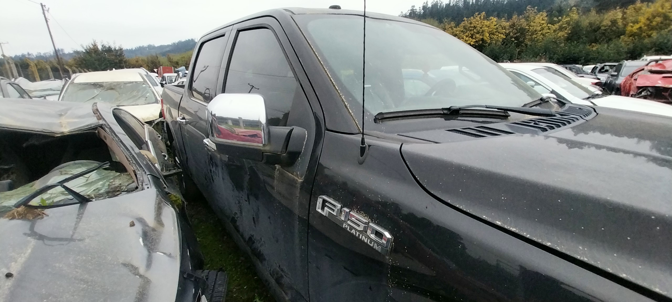 FORD F 150 2021