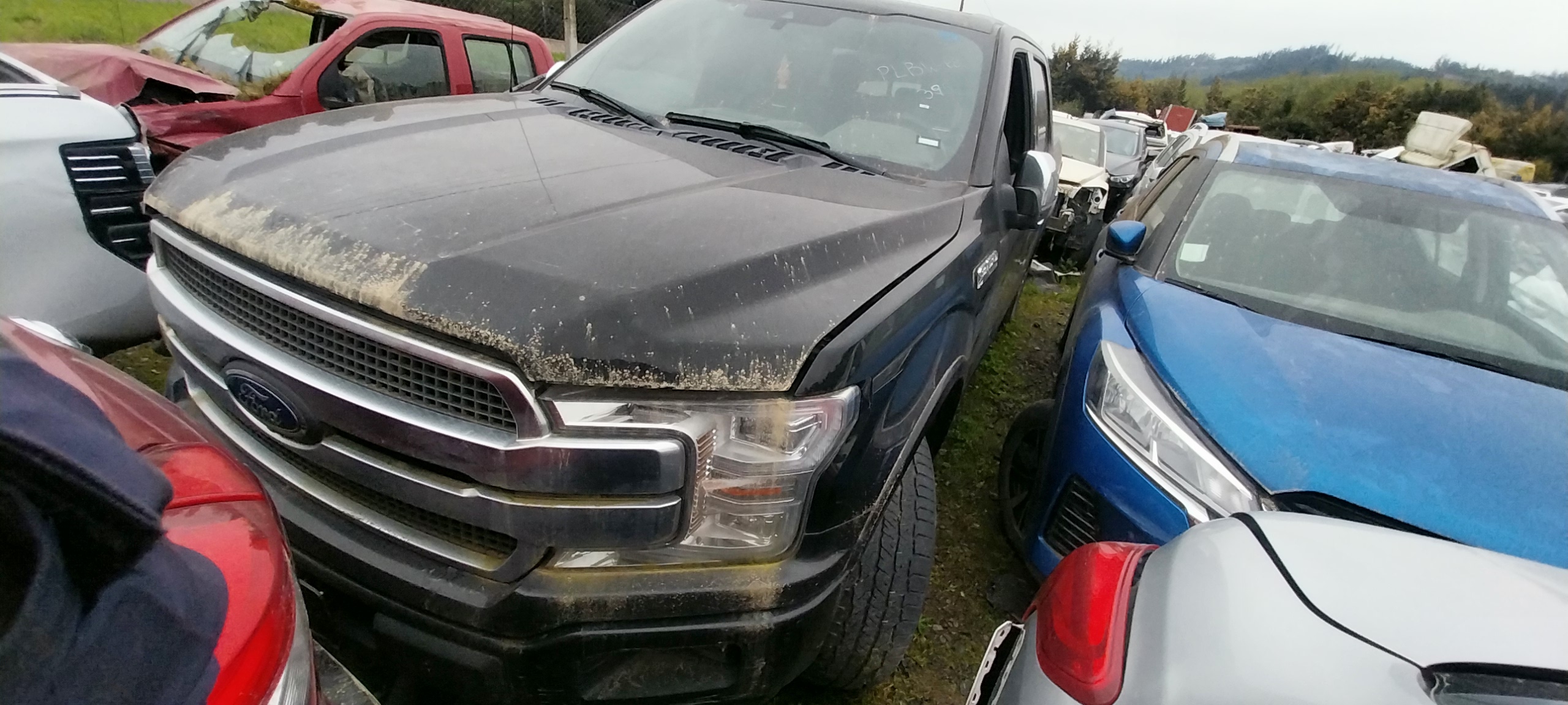 FORD F 150 2021