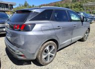 PEUGEOT 3008 2019