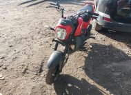 HONDA NAVI 2024