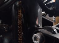 BMW G310 2025