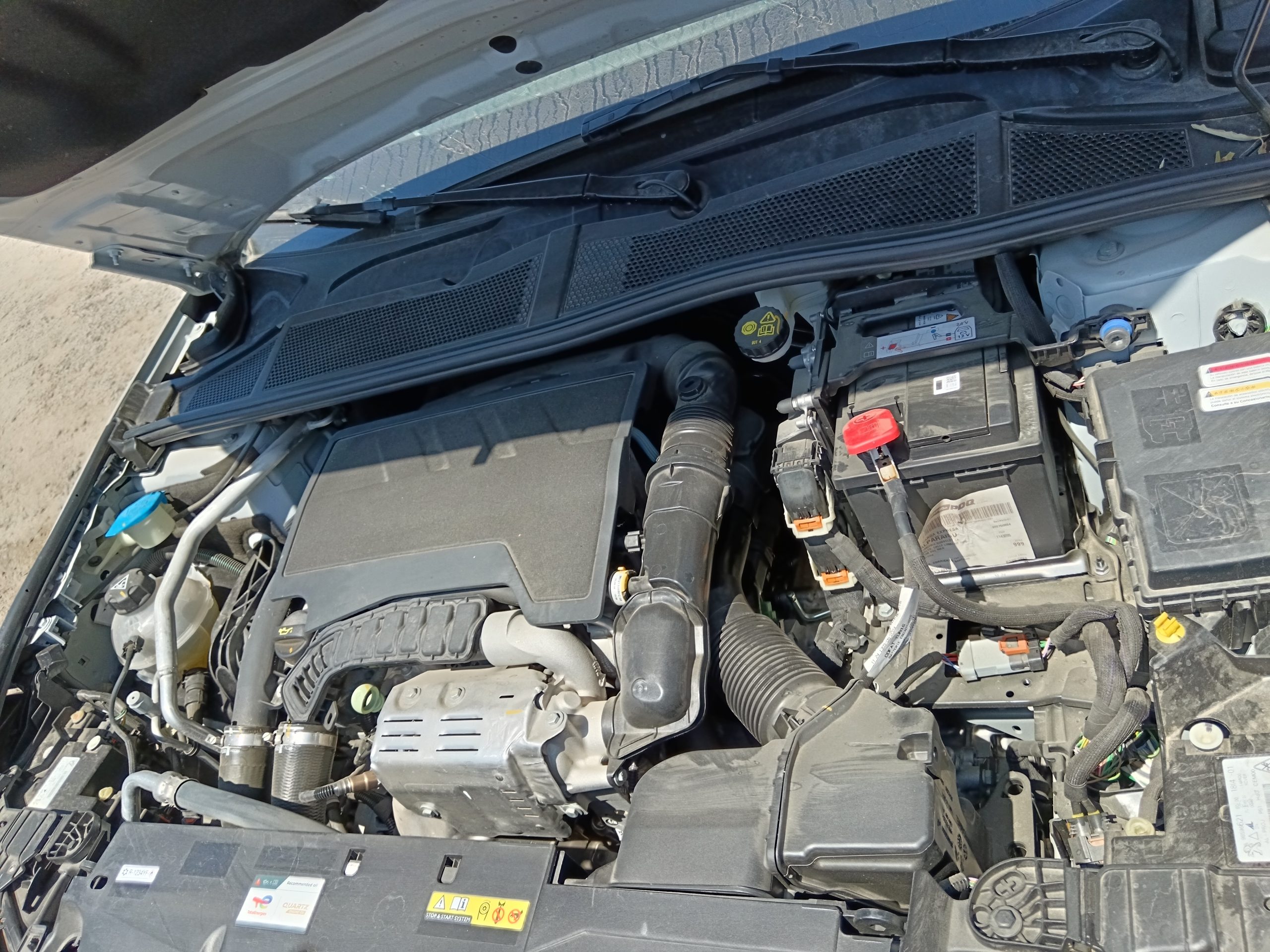 PEUGEOT 308 2025