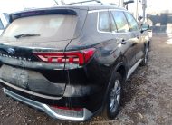 FORD TERRITORY 2024