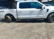 FORD F 150 2025