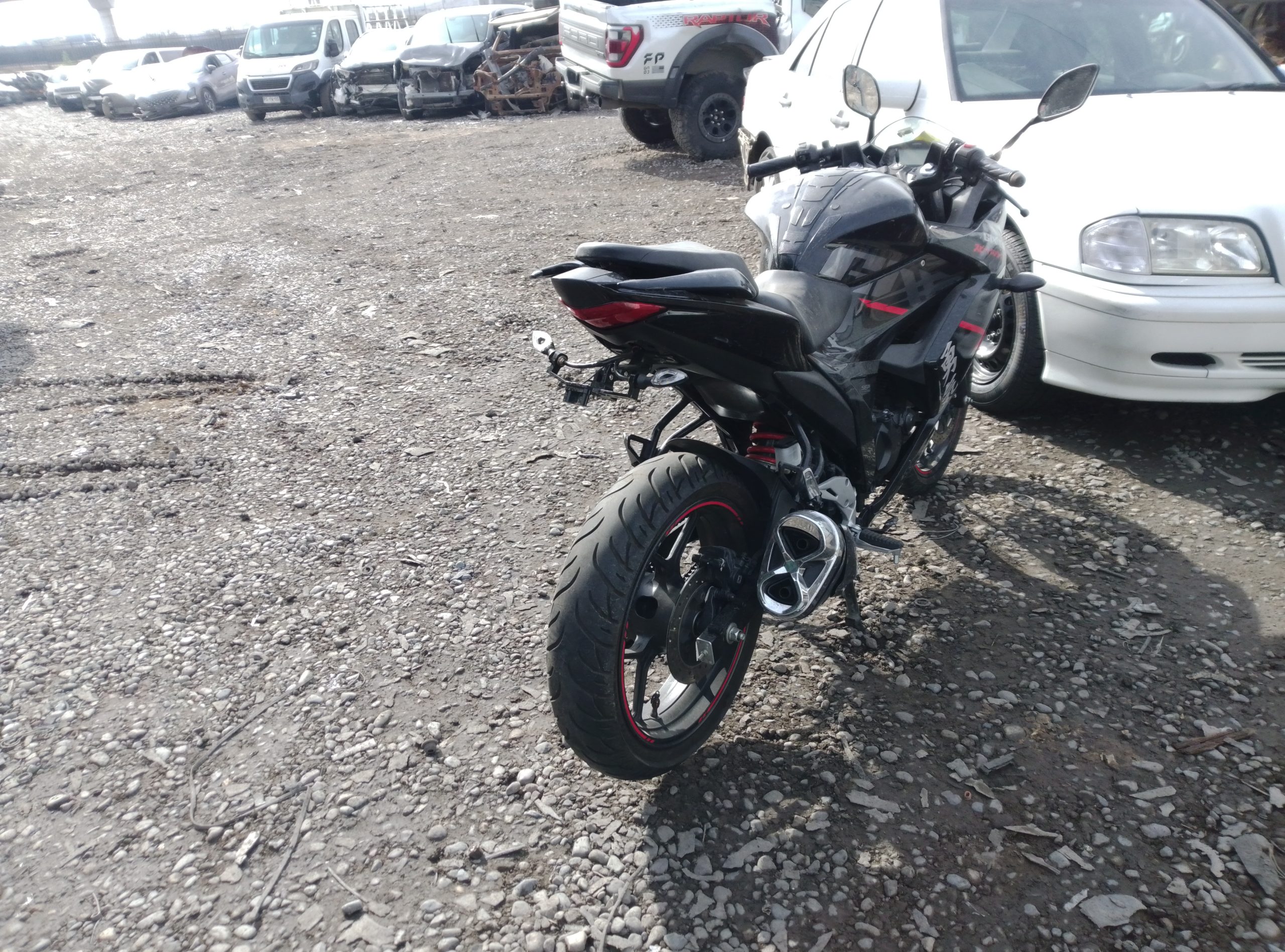 SUZUKI GSX 2023