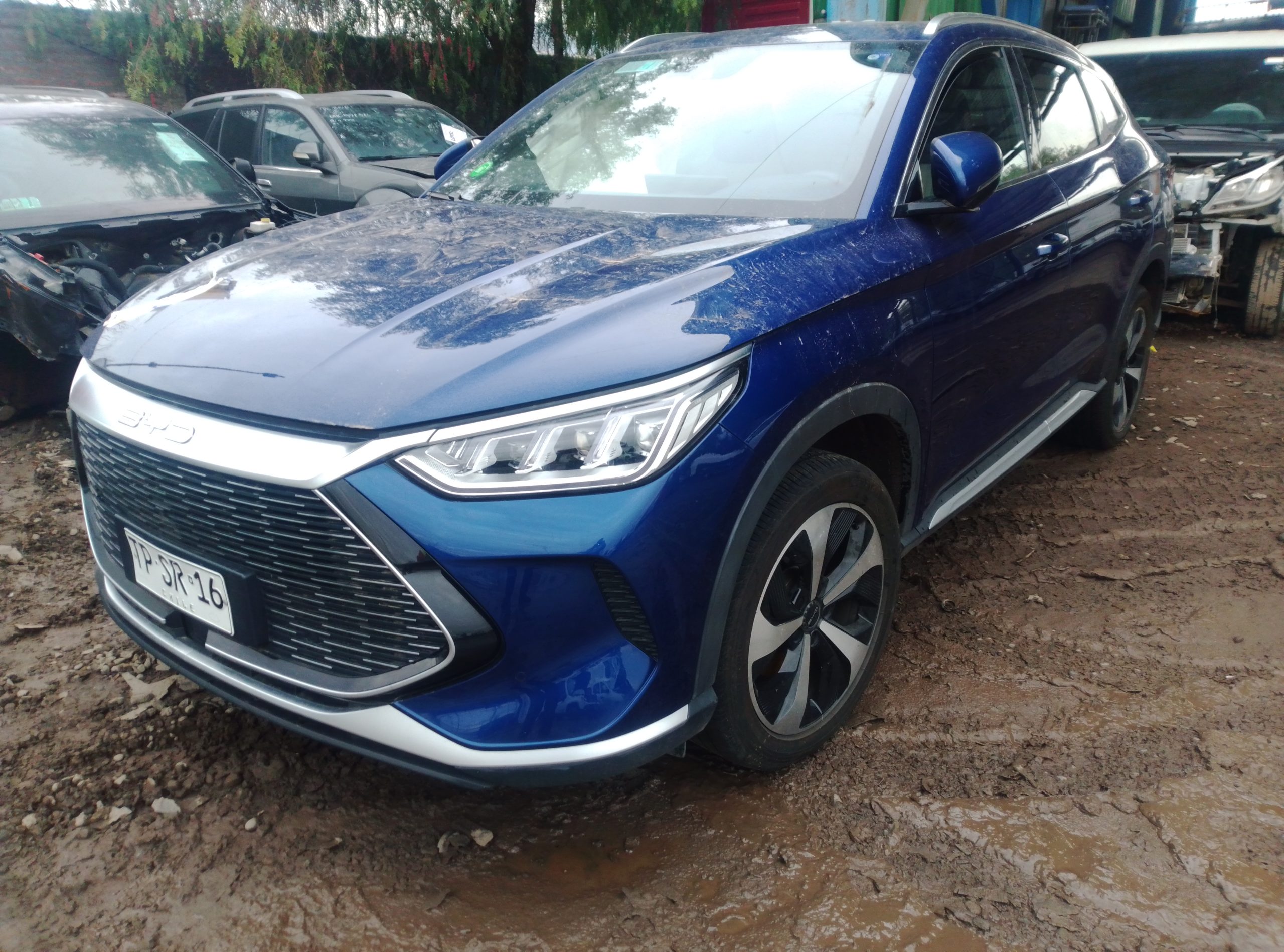BYD SONG PLUS 2024