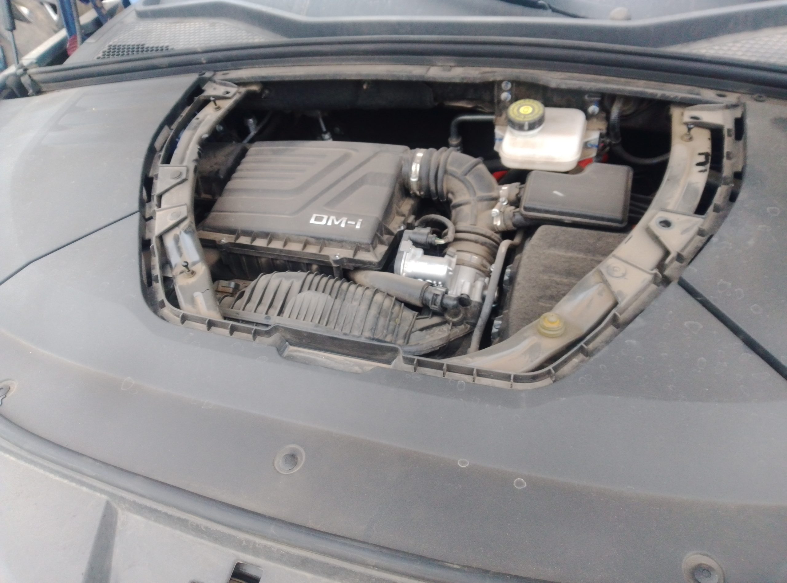 BYD SONG PLUS 2024