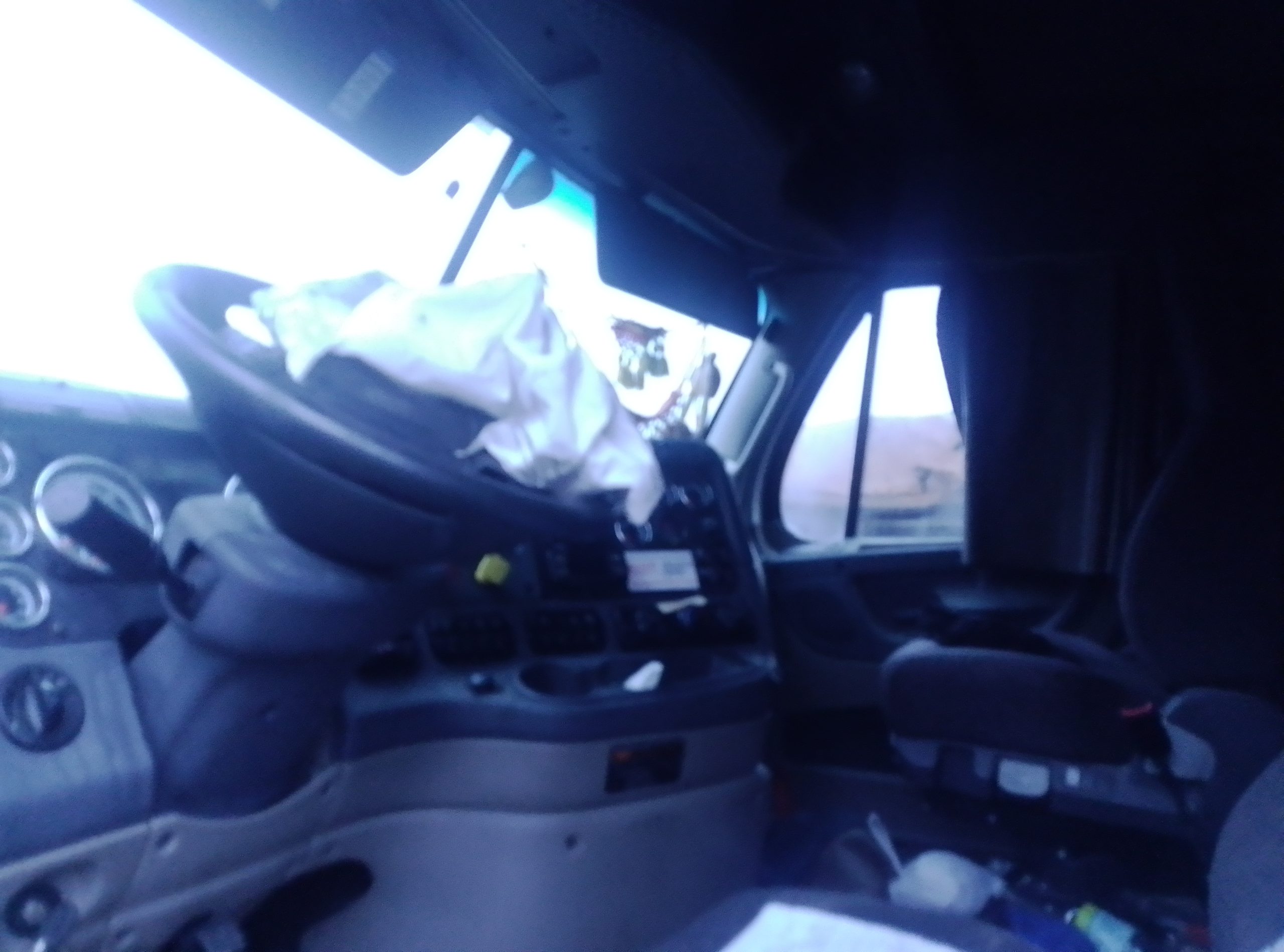 FREIGHTLINER CA113 2018