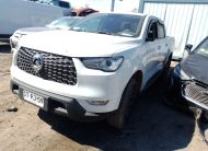 GREAT WALL POER 2023