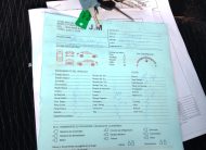 MERCEDES BENZ ACTROS 3336 2021