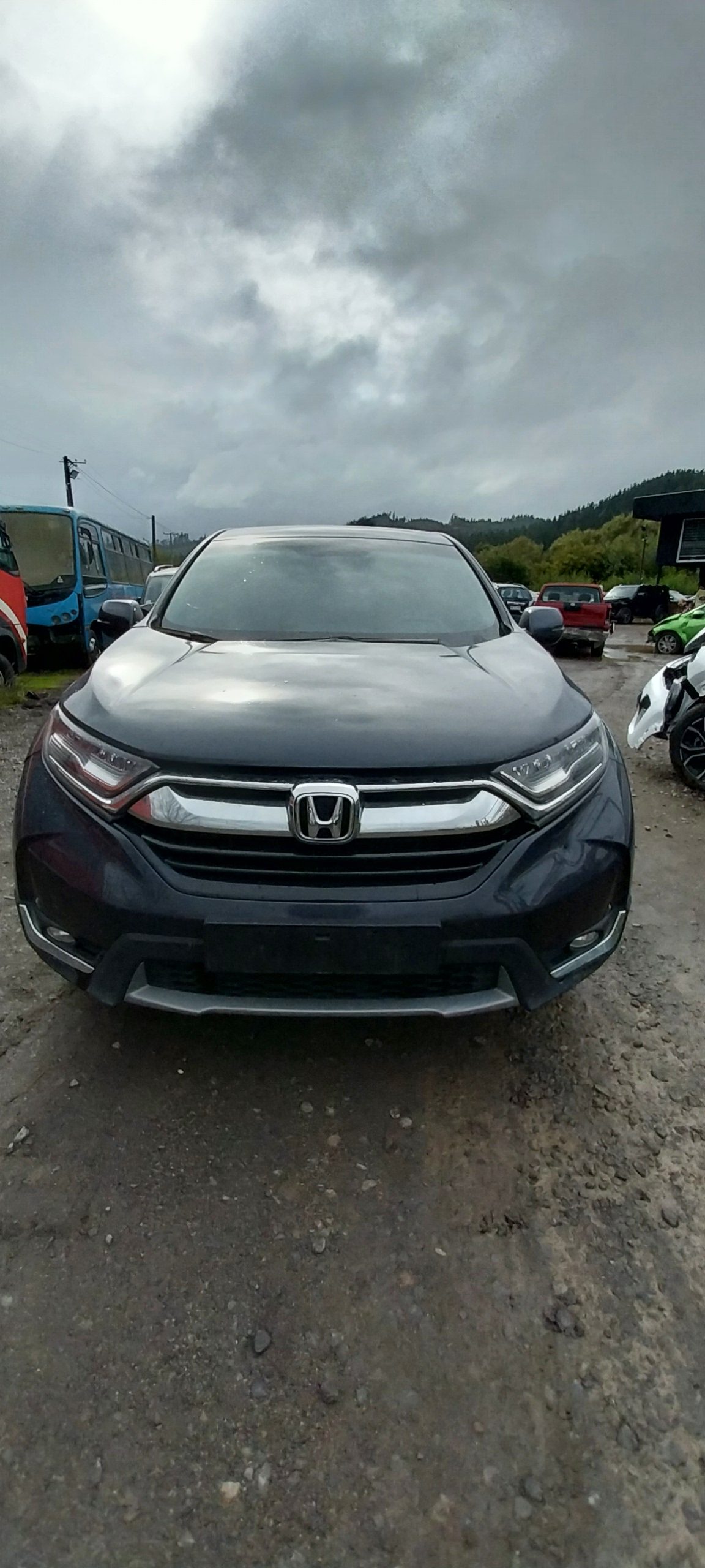 HONDA CRV 2019