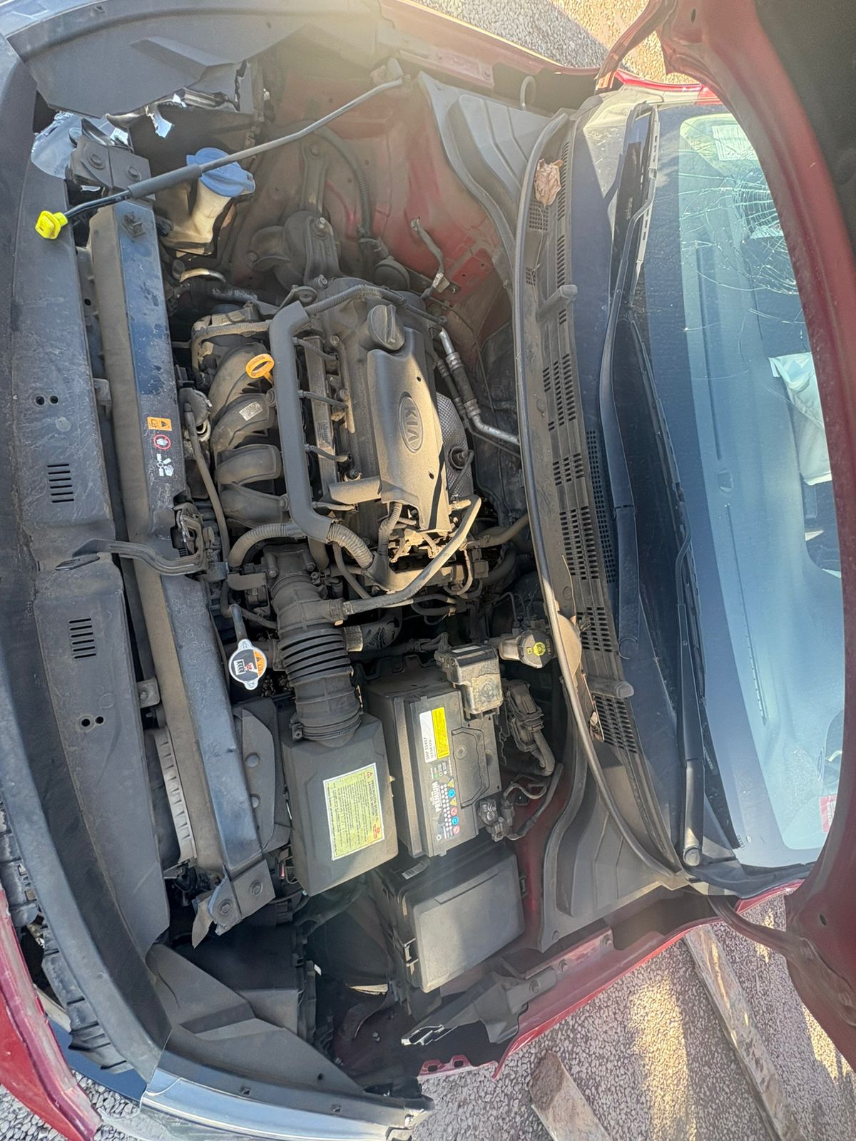 KIA MOTORS RIO 4 2021